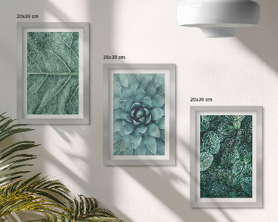 Triptych v ráme Detailné zábery sukulentných rastlín a listov