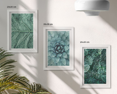 Triptych v ráme Detailné zábery sukulentných rastlín a listov