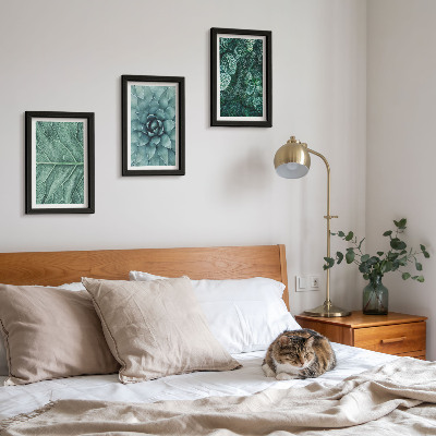 Triptych v ráme Detailné zábery sukulentných rastlín a listov
