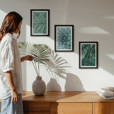 Triptych v ráme Detailné zábery sukulentných rastlín a listov