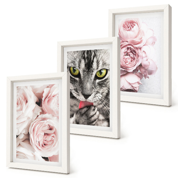 Triptych v ráme Mačka medzi ružovými kvetmi ruží a pivoniek