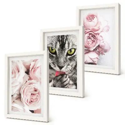 Mačka medzi ružovými kvetmi ruží a pivoniek triptych v ráme
