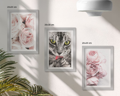 Triptych v ráme Mačka medzi ružovými kvetmi ruží a pivoniek