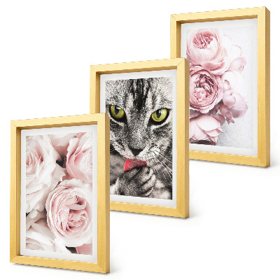 Triptych v ráme Mačka medzi ružovými kvetmi ruží a pivoniek