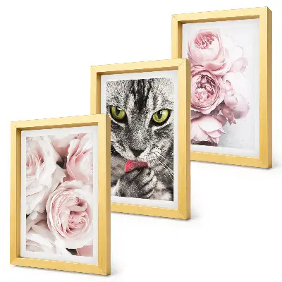 Mačka medzi ružovými kvetmi ruží a pivoniek triptych v ráme