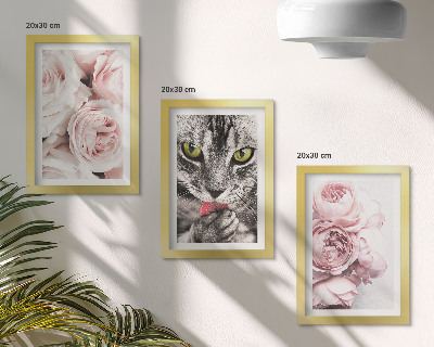 Triptych v ráme Mačka medzi ružovými kvetmi ruží a pivoniek