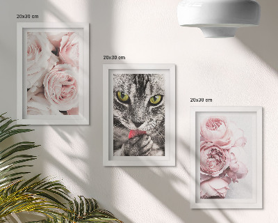Triptych v ráme Mačka medzi ružovými kvetmi ruží a pivoniek