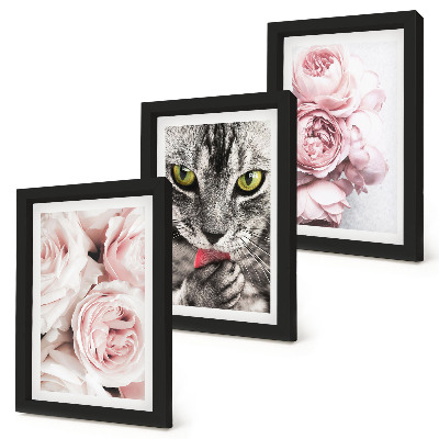 Triptych v ráme Mačka medzi ružovými kvetmi ruží a pivoniek