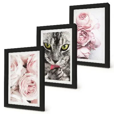 Mačka medzi ružovými kvetmi ruží a pivoniek triptych v ráme