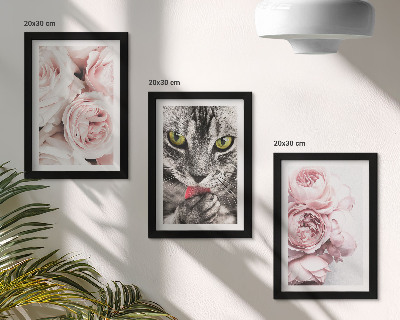 Triptych v ráme Mačka medzi ružovými kvetmi ruží a pivoniek