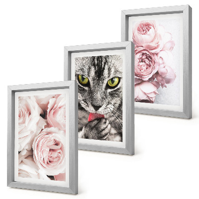 Triptych v ráme Mačka medzi ružovými kvetmi ruží a pivoniek