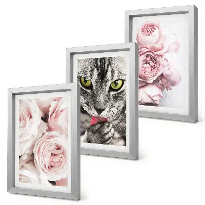 Mačka medzi ružovými kvetmi ruží a pivoniek triptych v ráme
