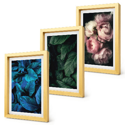 Triptych v ráme Listy a kvety v rôznych farbách