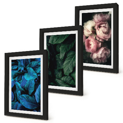 Triptych v ráme Listy a kvety v rôznych farbách