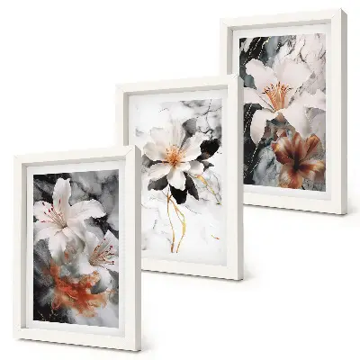 Kvety na mramorovom pozadí v odtieňoch bielej a čiernej triptych v ráme