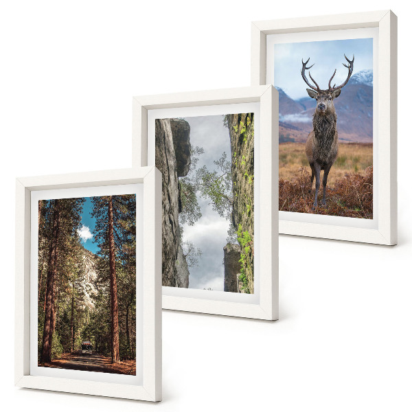 Triptych v ráme Cesta v lese, hory a jelene v prírode