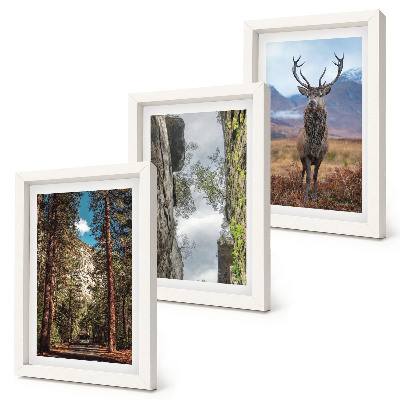 Triptych v ráme Cesta v lese, hory a jelene v prírode