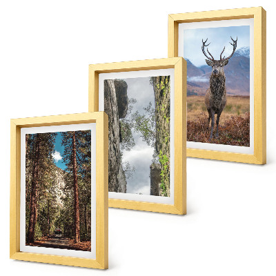 Triptych v ráme Cesta v lese, hory a jelene v prírode