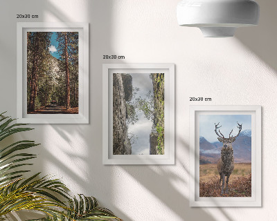 Triptych v ráme Cesta v lese, hory a jelene v prírode