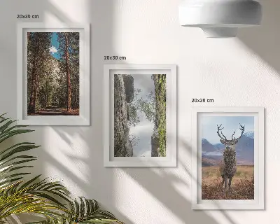Triptych v ráme cesta v lese s horami a jeleňmi