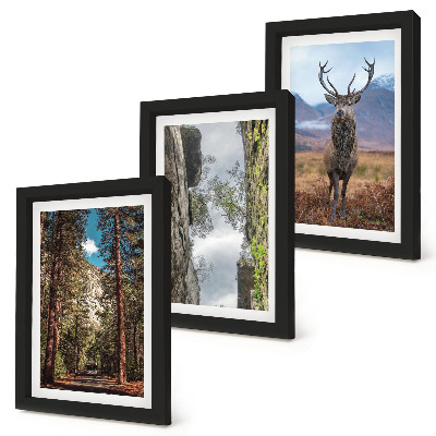 Triptych v ráme Cesta v lese, hory a jelene v prírode