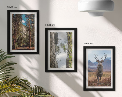 Triptych v ráme Cesta v lese, hory a jelene v prírode