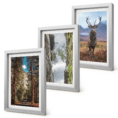 Triptych v ráme Cesta v lese, hory a jelene v prírode