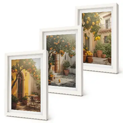 Slnečná terasa s citrusovými stromami a kvetináčmi triptych v ráme