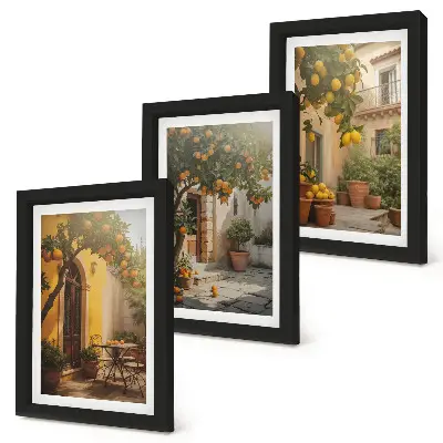 Slnečná terasa s citrusovými stromami a kvetináčmi triptych v ráme