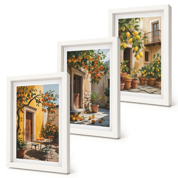 Triptych v ráme Citrusové plody na slnečnom nádvorí s rastlinami