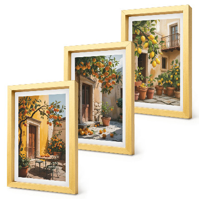 Triptych v ráme Citrusové plody na slnečnom nádvorí s rastlinami