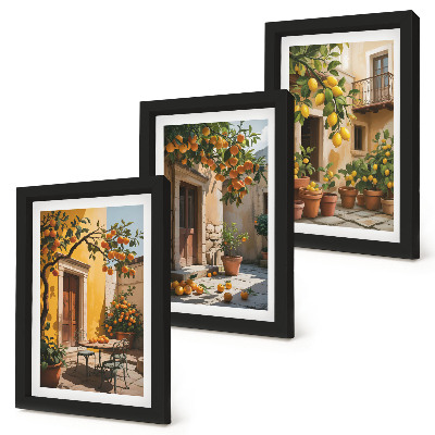 Triptych v ráme Citrusové plody na slnečnom nádvorí s rastlinami