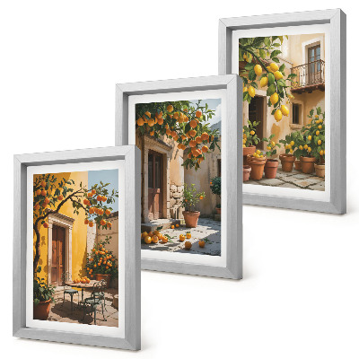 Triptych v ráme Citrusové plody na slnečnom nádvorí s rastlinami