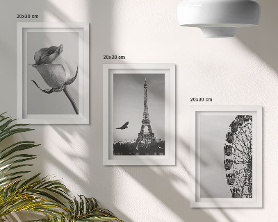 Triptych v ráme Ružová Eiffelova veža a ruské koleso v monochromatickom štýle