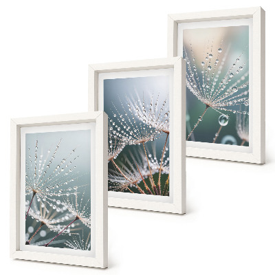 Triptych v ráme Kvapky vody na jemných výhonkoch púpav