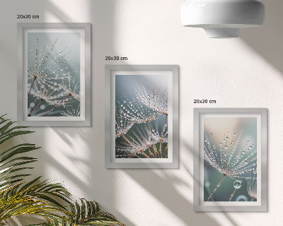 Triptych v ráme Kvapky vody na jemných výhonkoch púpav