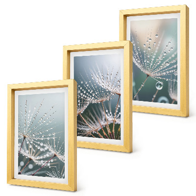 Triptych v ráme Kvapky vody na jemných výhonkoch púpav