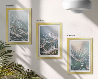 Triptych v ráme Kvapky vody na jemných výhonkoch púpav
