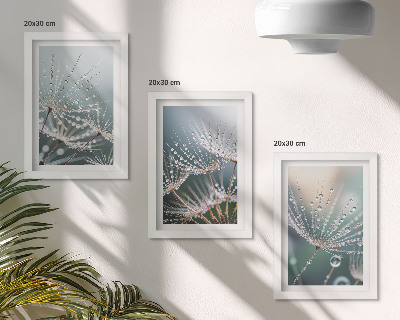 Triptych v ráme Kvapky vody na jemných výhonkoch púpav