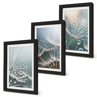 Triptych v ráme Kvapky vody na jemných výhonkoch púpav