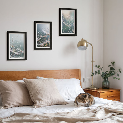 Triptych v ráme Kvapky vody na jemných výhonkoch púpav