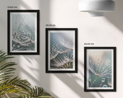 Triptych v ráme Kvapky vody na jemných výhonkoch púpav