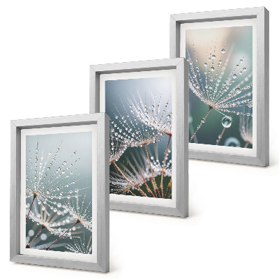 Triptych v ráme Kvapky vody na jemných výhonkoch púpav