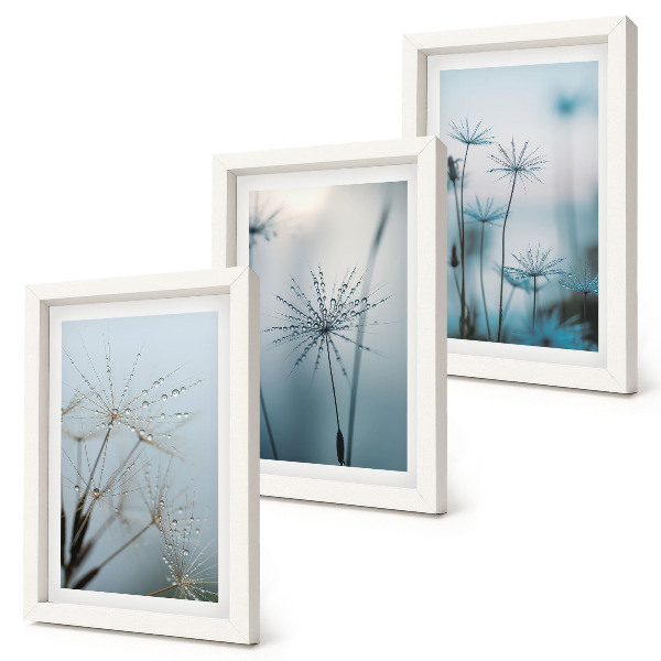 Triptych v ráme Jemné púpavy s kvapkami vody