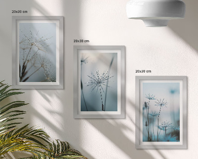 Triptych v ráme Jemné púpavy s kvapkami vody