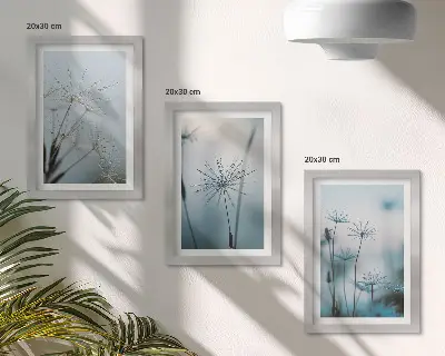 Jemné púpavy s kvapkami vody triptych v ráme