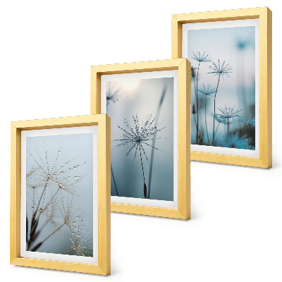 Triptych v ráme Jemné púpavy s kvapkami vody