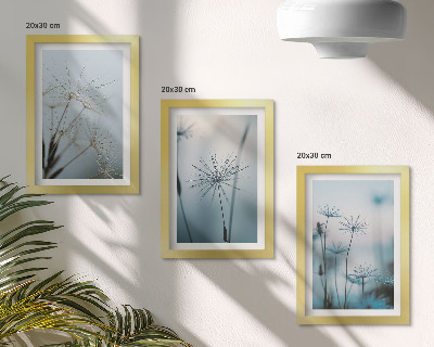 Triptych v ráme Jemné púpavy s kvapkami vody