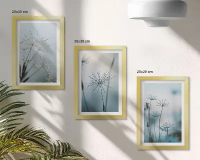 Jemné púpavy s kvapkami vody triptych v ráme