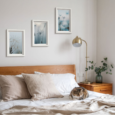 Triptych v ráme Jemné púpavy s kvapkami vody